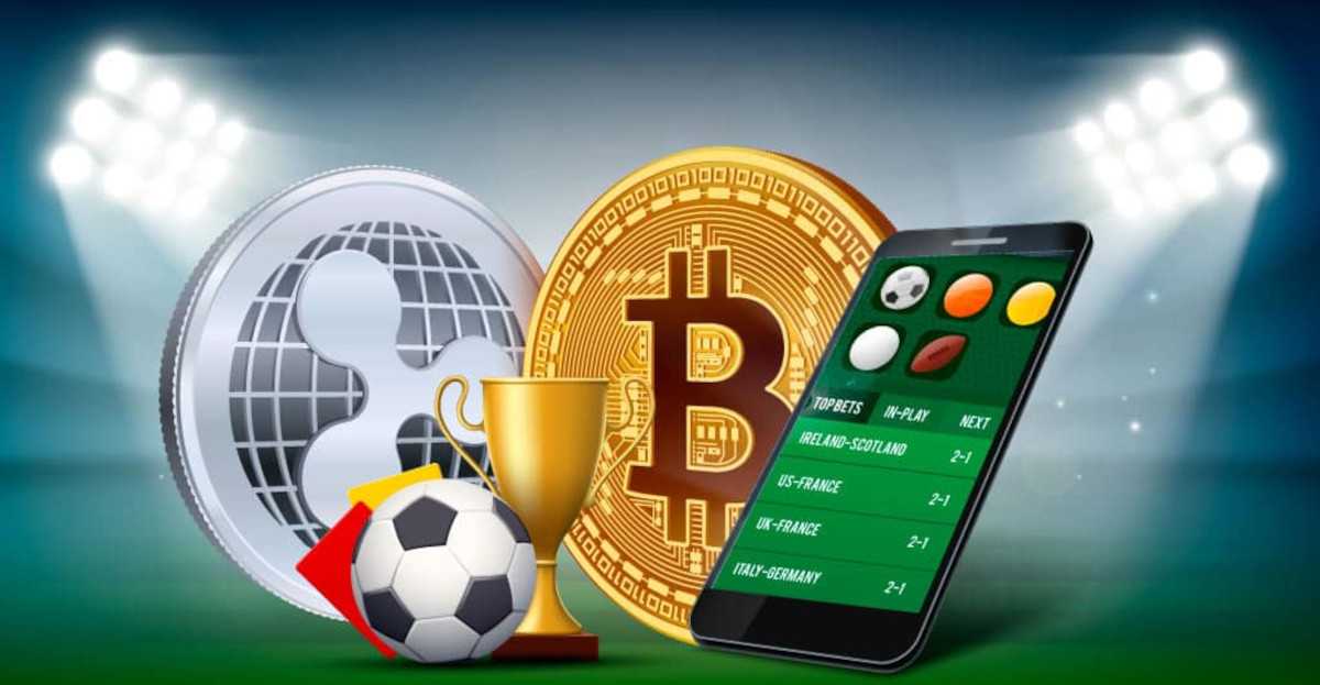 Trusted No KYC Casinos With Instant Access 12